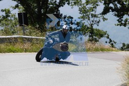 0T0A0056