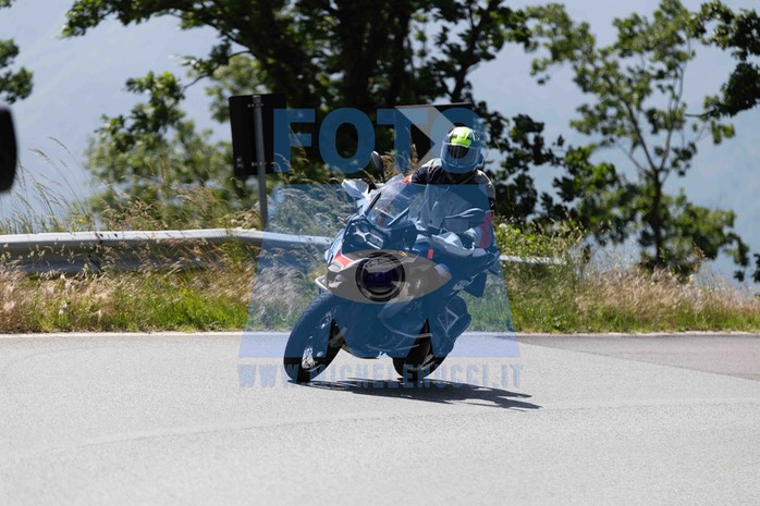 0T0A0134