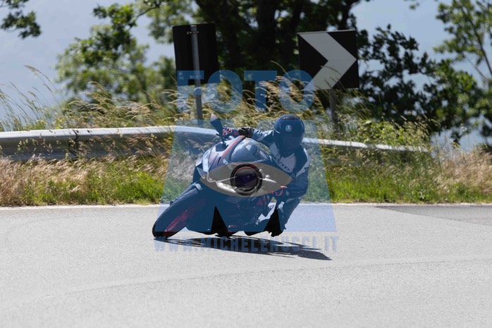 0T0A0205