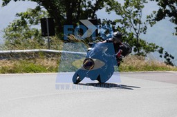 0T0A0219