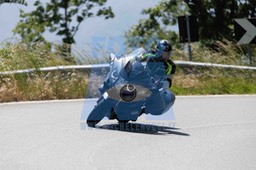 0T0A0236