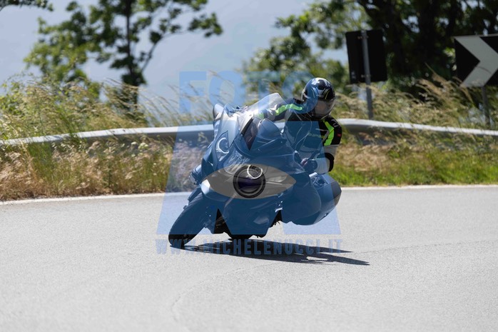 0T0A0236