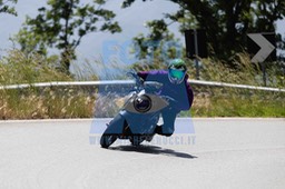 0T0A0827
