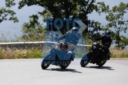 0T0A0868