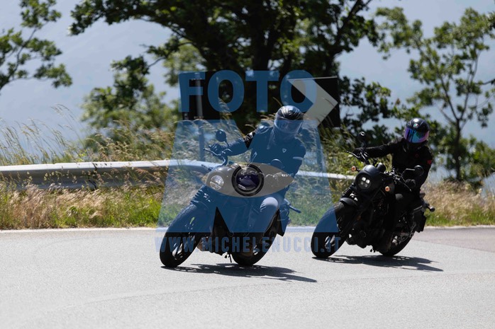 0T0A0868