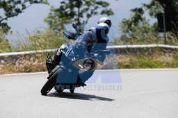 0T0A0978