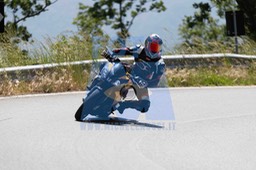 0T0A1105