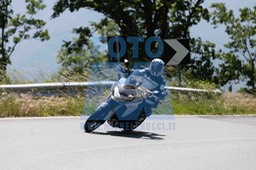 0T0A1262