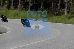 0T0A2506