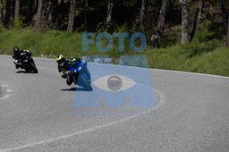 0T0A2507