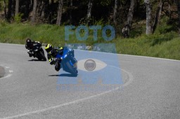 0T0A2508