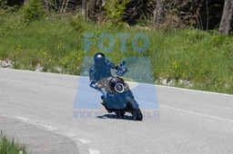 0T0A2941