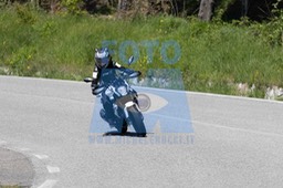 0T0A3162