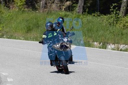 0T0A3597