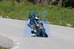 0T0A3645