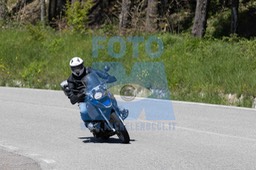 0T0A3740