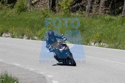 0T0A3947