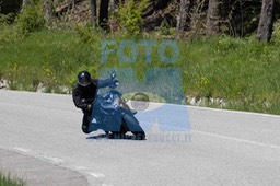 0T0A3976