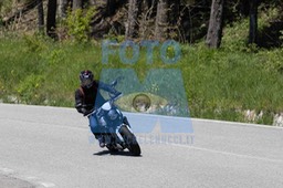 0T0A4028