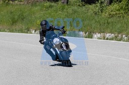 0T0A4075