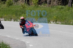0T0A4134