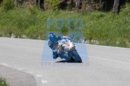 0T0A4294