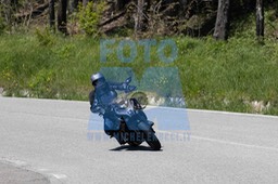0T0A4456
