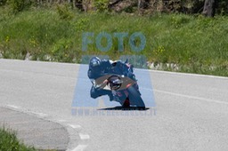 0T0A4620