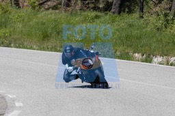 0T0A4654