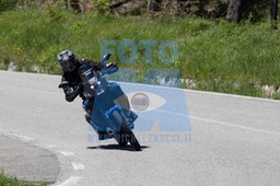 0T0A4715