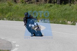 0T0A4910