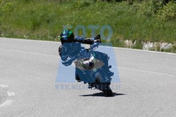 0T0A5017
