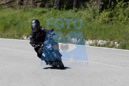 0T0A5090