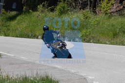 0T0A5121