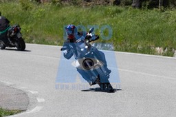 0T0A5133