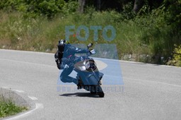 0T0A7019