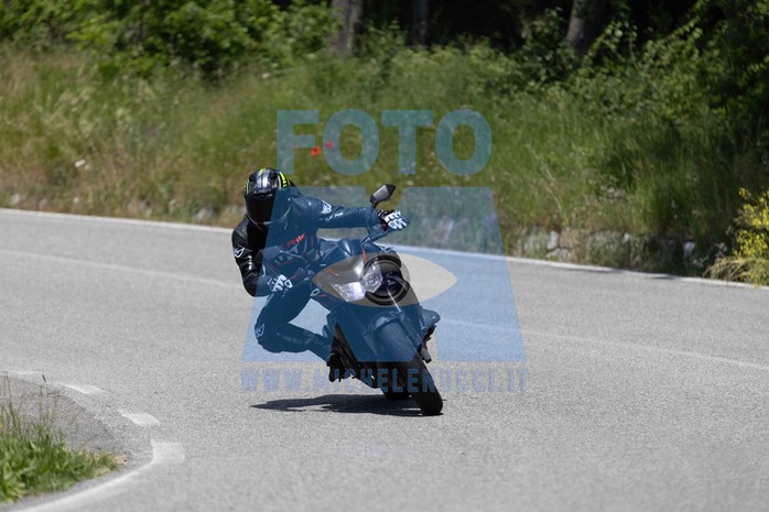 0T0A7019