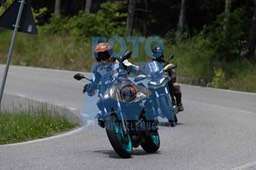 0T0A7239