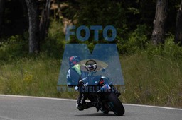 0T0A7351