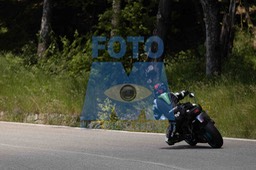 0T0A7353