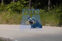0T0A7356