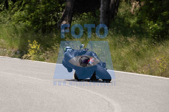 0T0A7370
