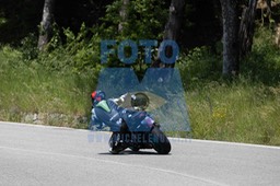 0T0A7398