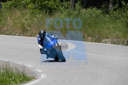 0T0A7442
