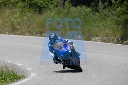 0T0A7444