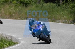 0T0A7445