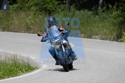 0T0A7454