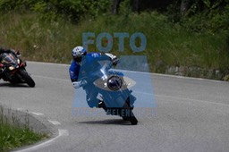 0T0A7486