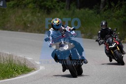 0T0A7507