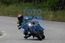 0T0A7533
